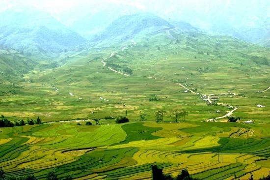 Mu Cang Chai