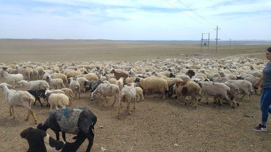 Gegentala Grassland Scenic Spot
