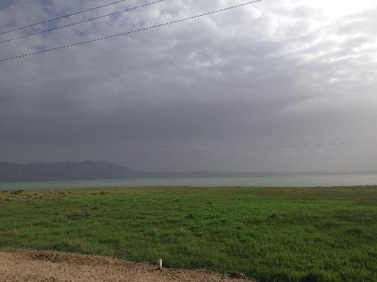 Zhuonaihu Tibetan Antelope Aggregation