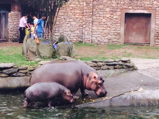 Changsha Ecological Zoo