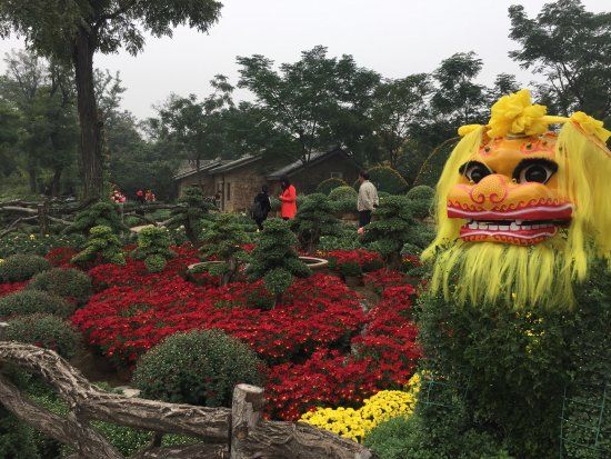 The Song Dynasty Of Kungfu City