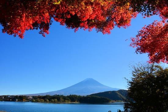 Momiji Tunnel