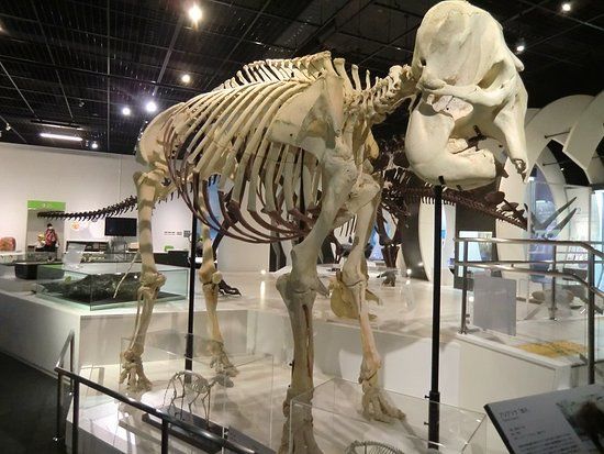 Himeji Science Museum