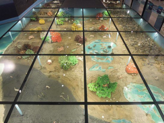 Ocean Resources Museum