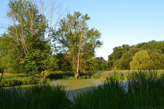 Nyquist-Harcourt Wildlife Sanctuary