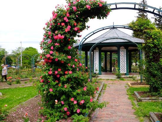E.M. Mills Rose Garden