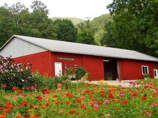 Stoney Hollow Farm