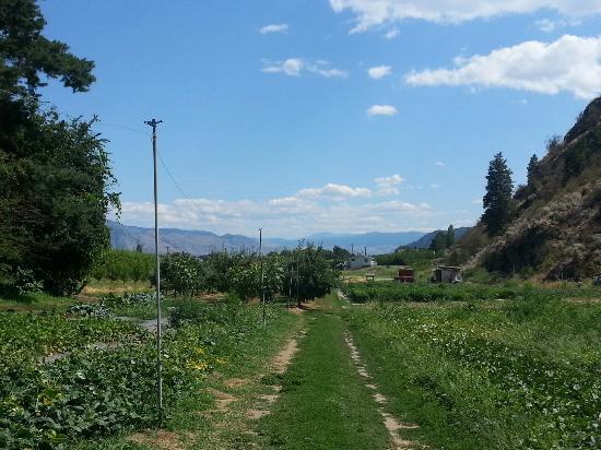 Hillside Orchards U-Pick and Farm