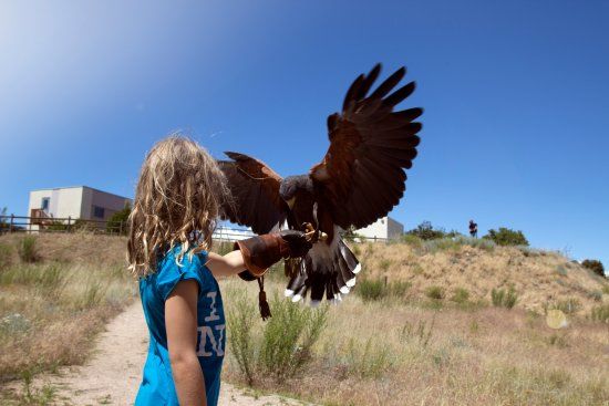 Allan Brooks Nature Centre