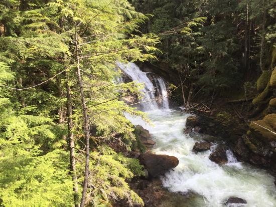 Crazy Creek Suspension Bridge