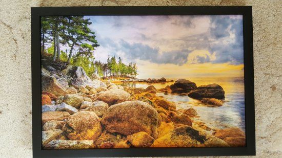 Danel Richards Art Gallery