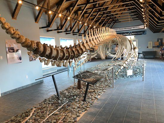 King's Point Whale Pavilion