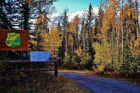 Athabasca Riverfront Park