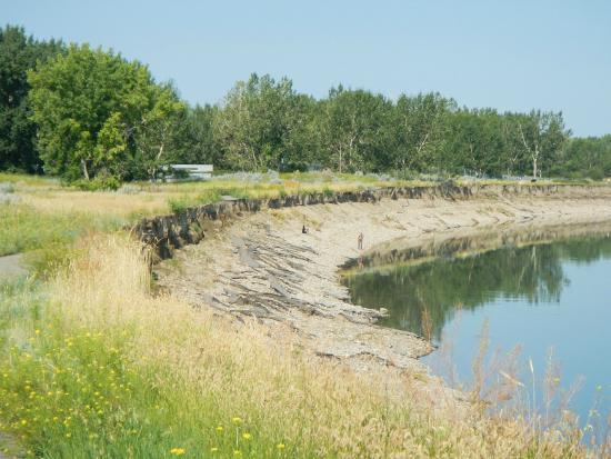 Strathcona Island Park