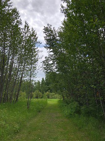 Boreal Centre for Bird Conservation
