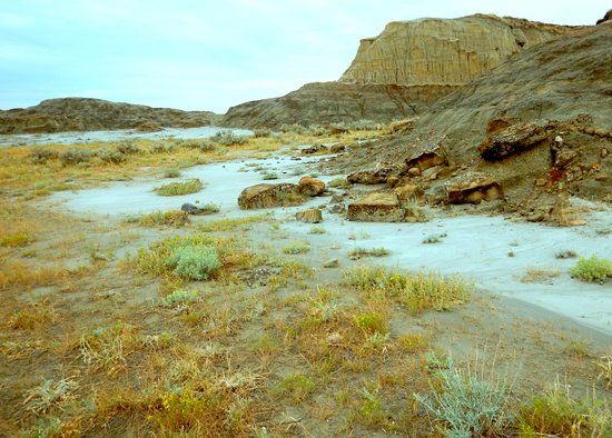 Avonlea Heritage Museum