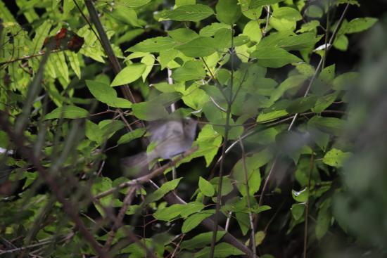 Reserva Forestal Edmundo Winkler