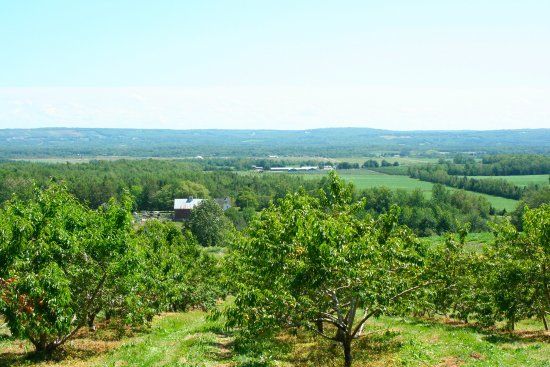 Dempsey Corner Orchards