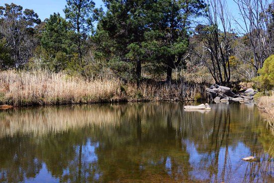 Wooldridge Recreation and Fossicking Area