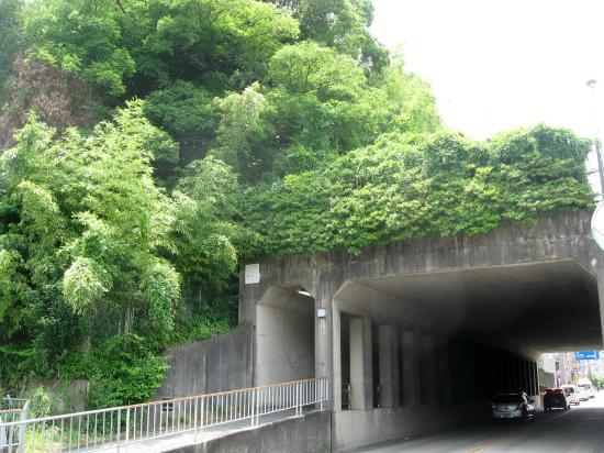 Hirugami Kurumazuka Kofun