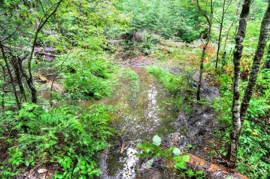 Whiskey Rapids Trail