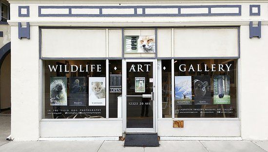 Launstein Imagery Wildlife Art Gallery