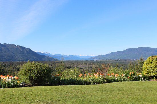 Coghlin Park View Point