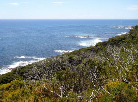 Cape Naturaliste Walking Trails