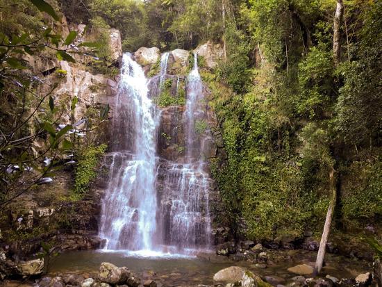 Minnamurra Falls