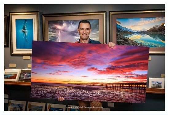 Into The Wild Photography