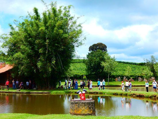 Sitio de Lazer Zucchi