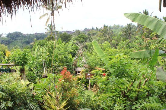 Hidden Garden Agriculture