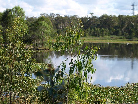 Berrinba Wetlands Park