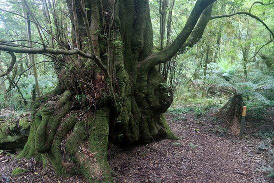 Gulaga National Park