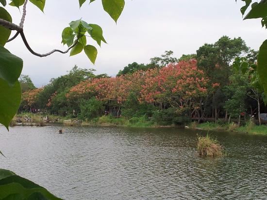 Luodong Forestry Culture Park
