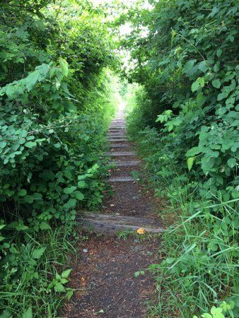 Cowichan Estuary Nature Centre