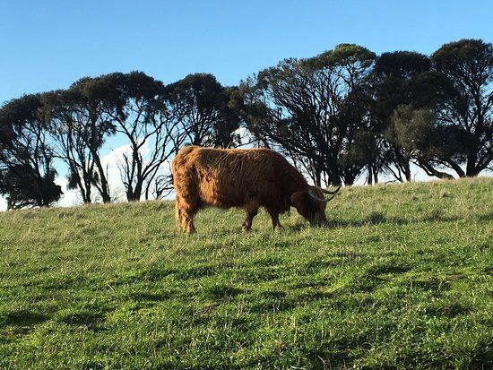 Churchill Island Marine National Park
