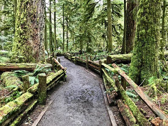 MacMillan Provincial Park