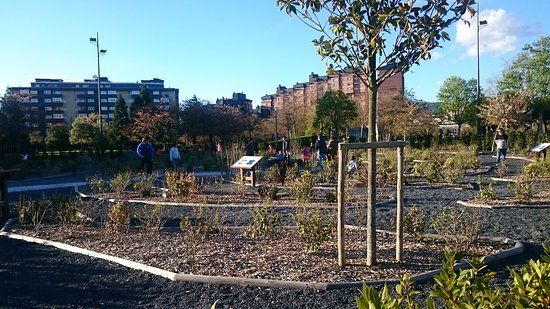 Jardin de la Galaxia