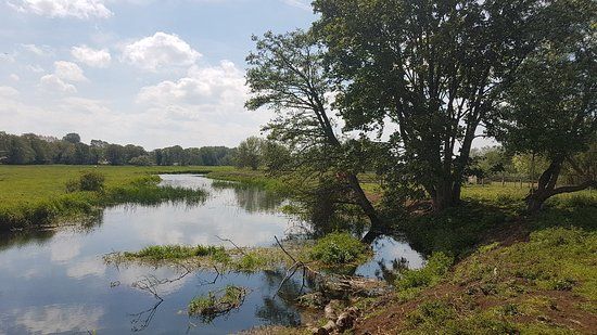 Earsham Wetland Centre