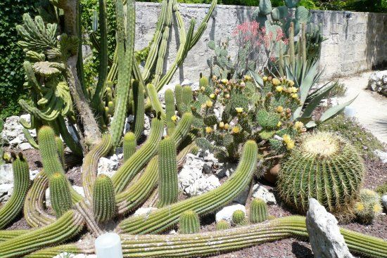 Giardino Botanico La Cutura