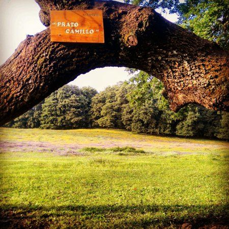 Bosco Macchia Grande