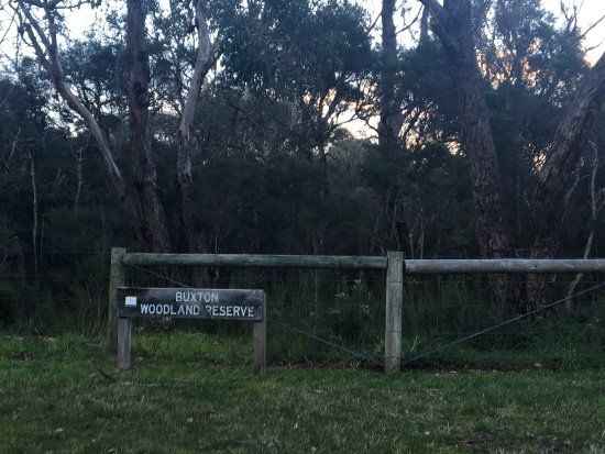 Buxton Woodland Reserve