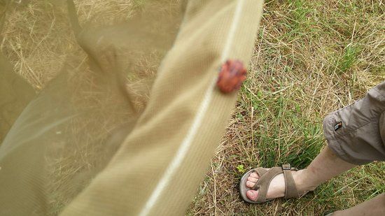 Reserve Naturelle Regionale du Marais de la Vacherie