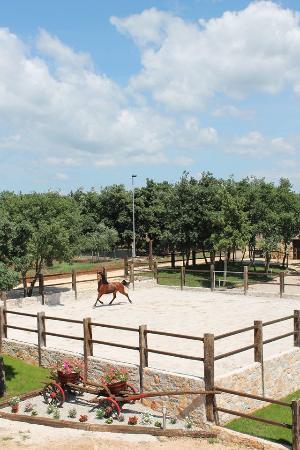 Konjicki klub Jakici Horse Riding