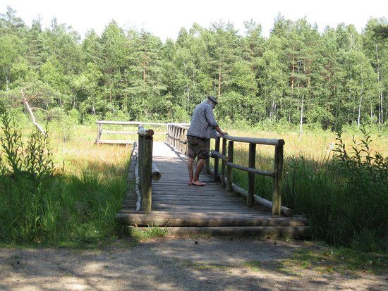 Naturpark Heidenreichsteiner Moor