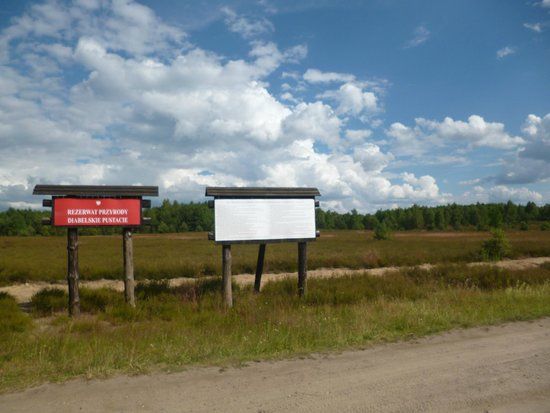 Rezerwat Diabelskie Pustacie