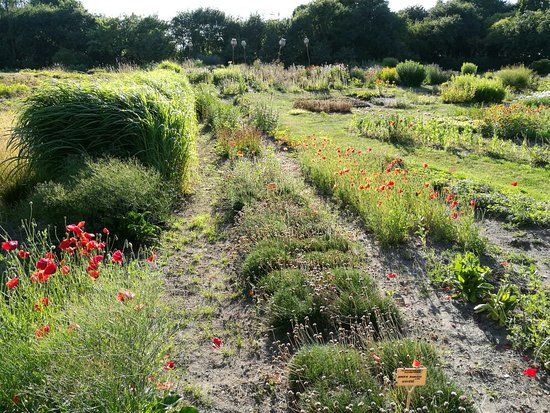 Botanical Garden of Klaipeda University