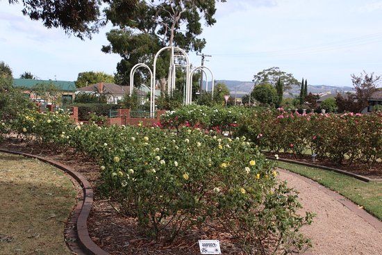 Morwell Centenary Rose Garden