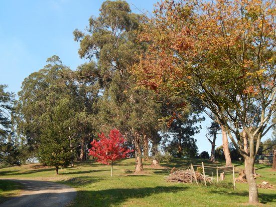Korumburra Botanic Park